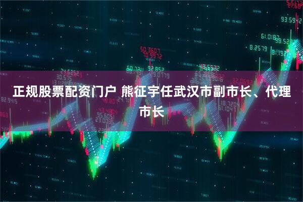 正规股票配资门户 熊征宇任武汉市副市长、代理市长