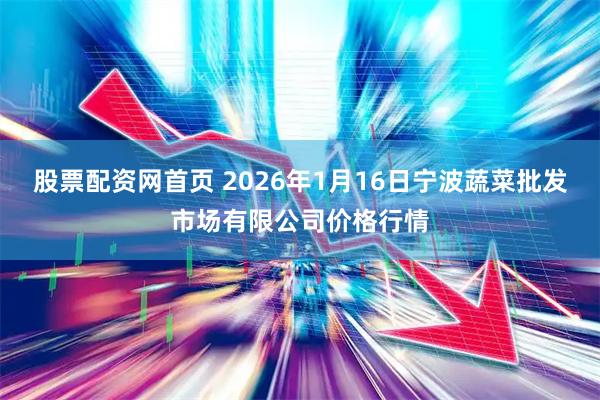 股票配资网首页 2026年1月16日宁波蔬菜批发市场有限公司价格行情