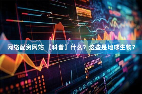 网络配资网站 【科普】什么？这些是地球生物？