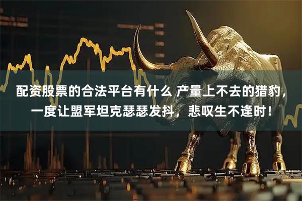 配资股票的合法平台有什么 产量上不去的猎豹，一度让盟军坦克瑟瑟发抖，悲叹生不逢时！