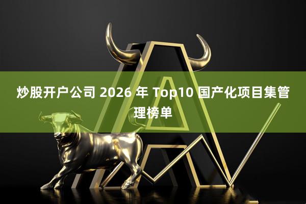 炒股开户公司 2026 年 Top10 国产化项目集管理榜单